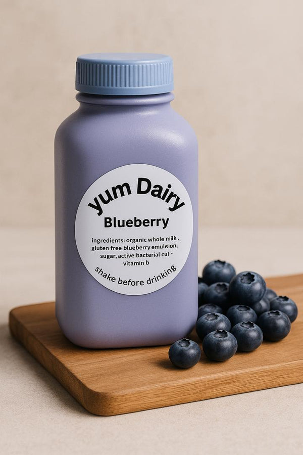 Blueberry Yogurt